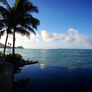 Meet your Posher, Liz